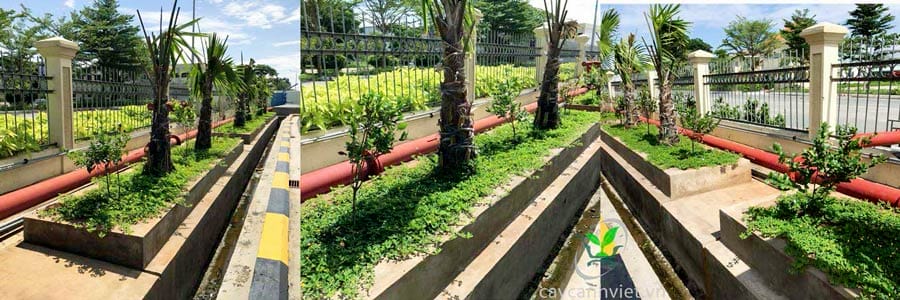 Đất thịt phù hợp với việc trồng thảm cỏ và cây công trình
